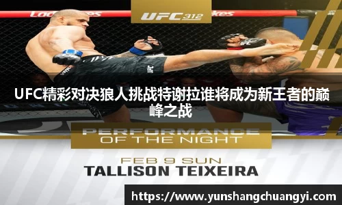UFC精彩对决狼人挑战特谢拉谁将成为新王者的巅峰之战
